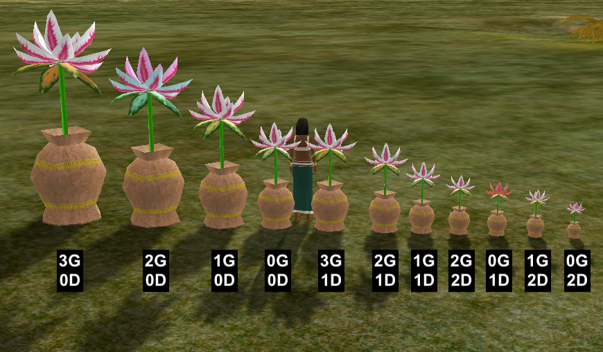 Rose Sizes.png