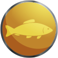 Icon - Fly Fishing.png