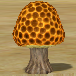 Beehive Mushroom