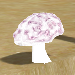 Brain Mushroom