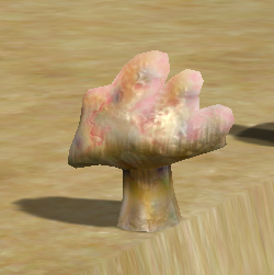 Bleeding Hand Mushroom
