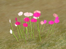 Tall Pink Bachelor Buttons.png