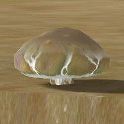 Razor's Edge Mushroom