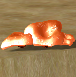 Orange Campanella Mushrooms