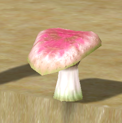 Dead Tongue Mushroom
