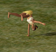AcroMaster.png