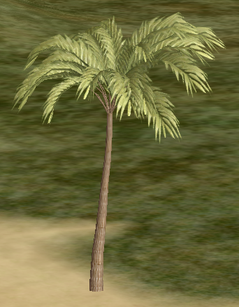 Tree-1-CoconutPalm.png