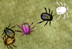 Beetle2.png