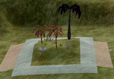 Bordered Hill Planting 1.jpg