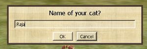 Cat Name Field.jpg