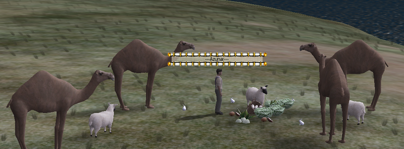 File:Diego day-3.png