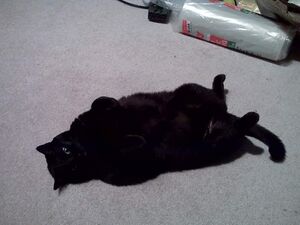 FB IMG 1626382106595.jpg