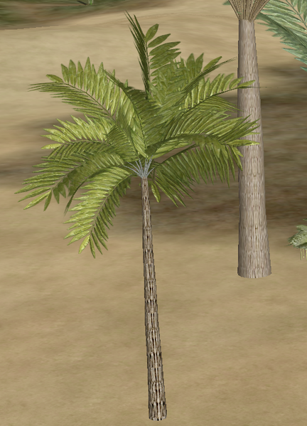 File:Fern Palm.png