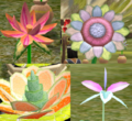 Flowers.png