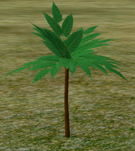 File:Herbs BayTree.png