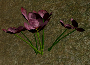 Herbs BeggarsButton.png