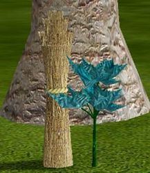 Herbs Bleubillae.jpg