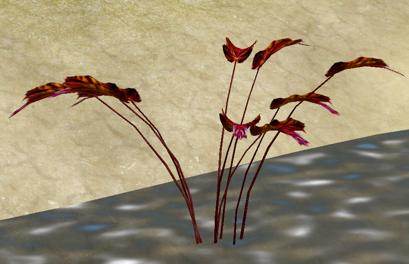 File:Herbs BloodedHarebell.png
