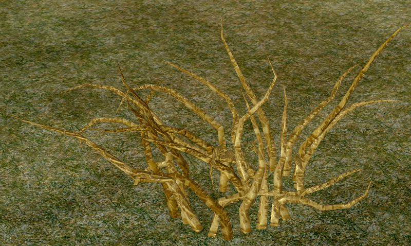 File:Herbs Calabash.png