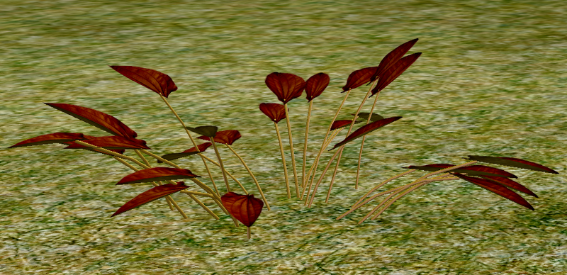 File:Herbs Chatinabrae.png