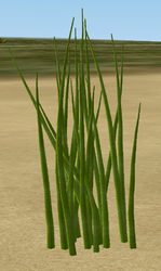 Herbs Chives.png