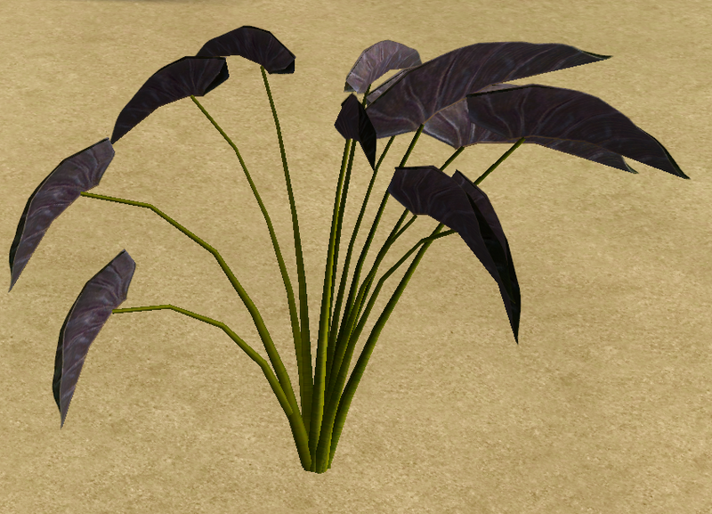 File:Herbs CicadaBean.png