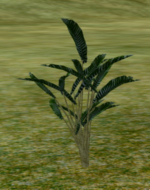 Herbs CommonRosemary.png