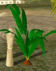 Herbs EarthApple.jpg