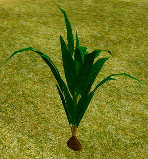 Herbs EarthApple.png