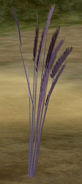 File:Herbs Fumitory.png