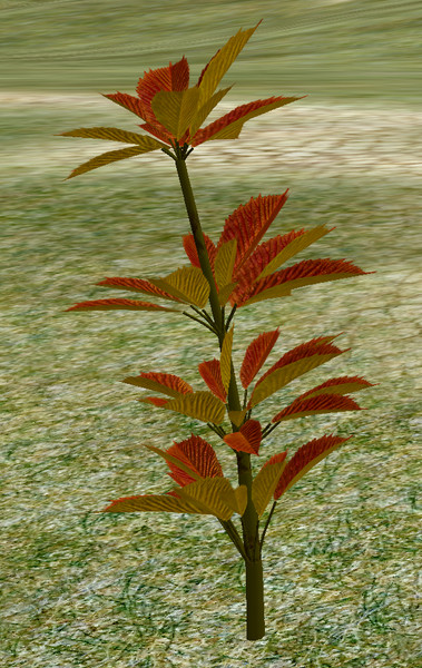 File:Herbs Gnemnon.png