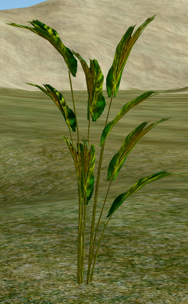 File:Herbs Harebell.png