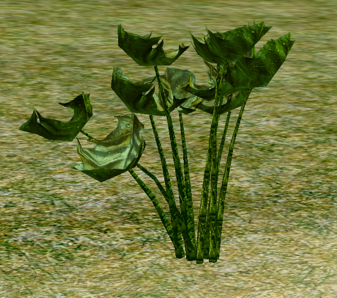 File:Herbs JaggedDewcup.png