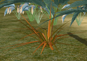 Herbs Lemon Grass.png