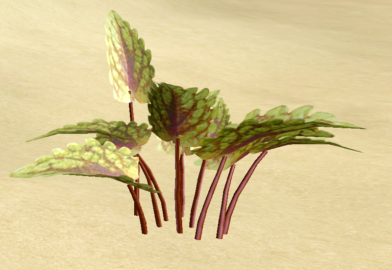 File:Herbs Lemondrop.png