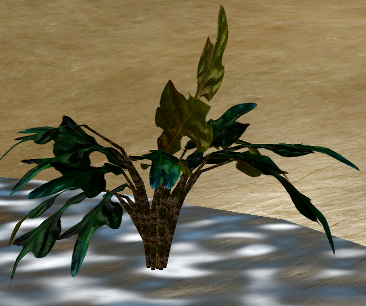 File:Herbs Lythrum.png