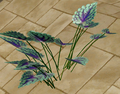 Herbs Mahonia.png