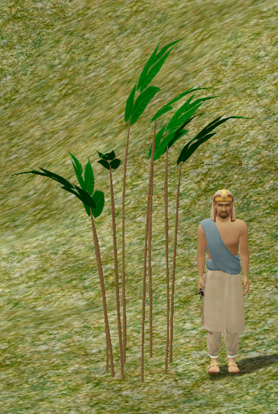 File:Herbs MiniatureBamboo.png