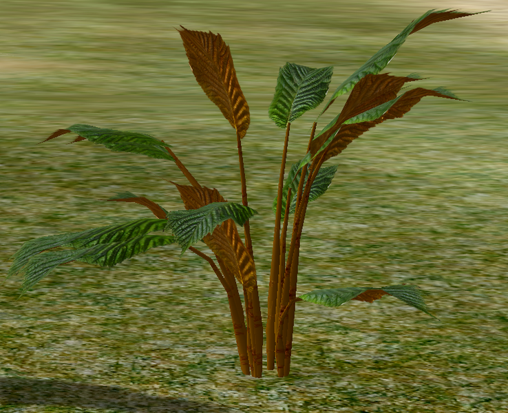 File:Herbs Morpha.png