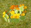 Herbs OrangeNasturtium.png