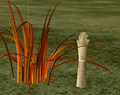 Herbs OrangeSweetgrass.png