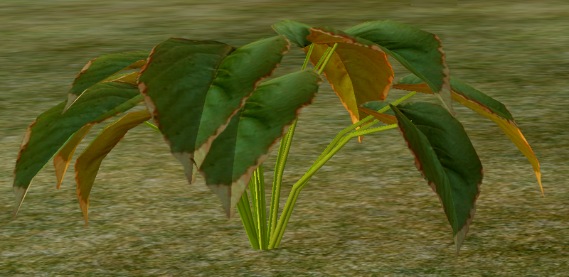 File:Herbs Patchouli.png