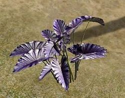 Herbs Prisniparni.jpg