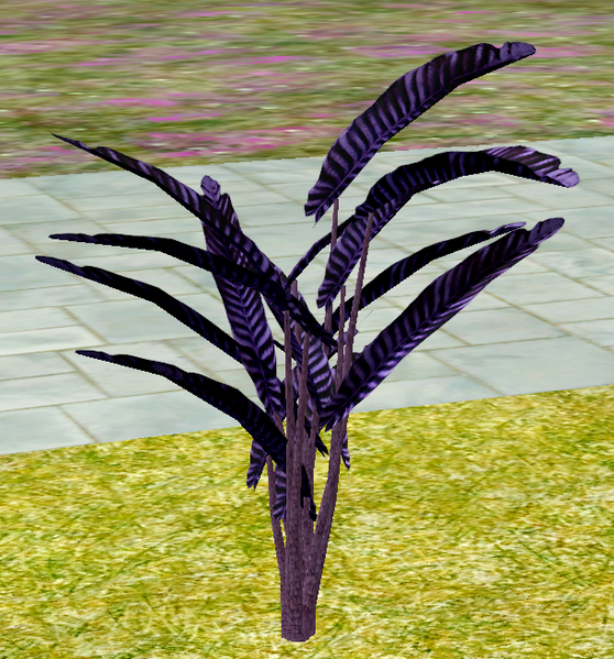 File:Herbs RoyalRosemary.png