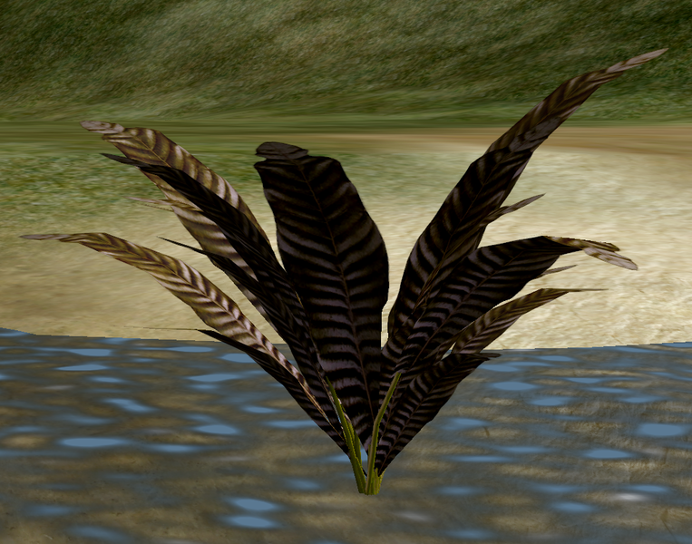 File:Herbs ShrubSage.png