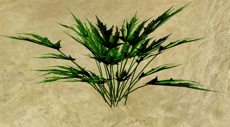 File:Herbs Skirret.png