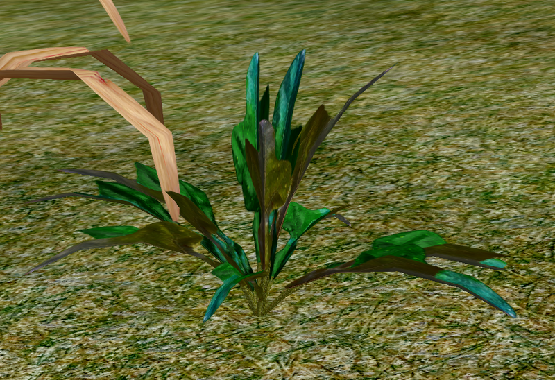 File:Herbs Squill.png