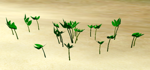 Herbs StrawberryTea.png