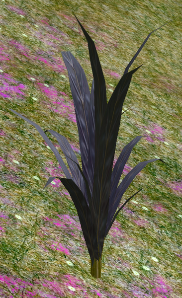 File:Herbs SugarCane.png
