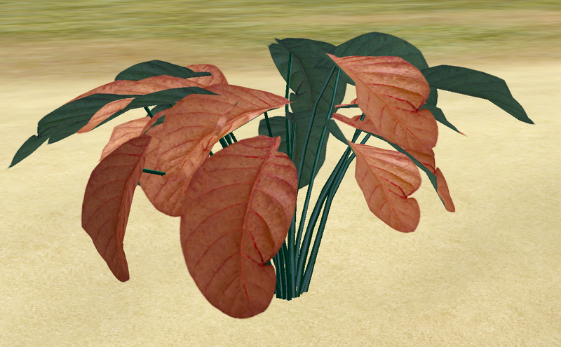 File:Herbs TangerineDream.png